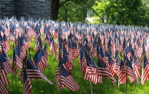 flags ripple in the breeze